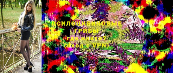 герыч Ладушкин
