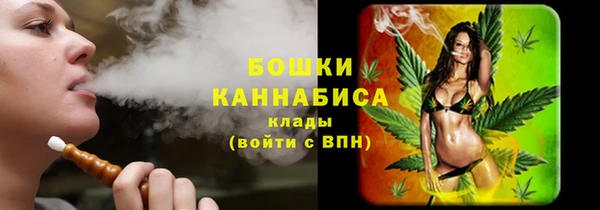 твердый Лагань