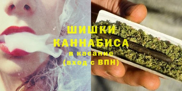 твердый Лагань