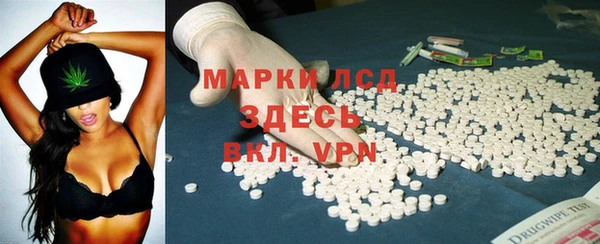 твердый Лагань