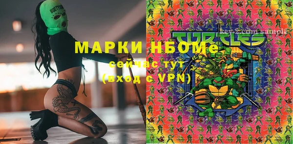 твердый Лагань