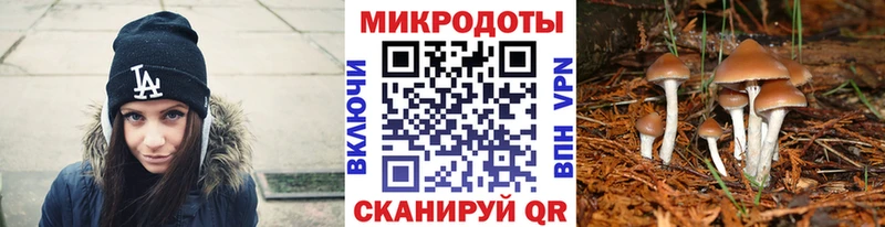 Купить где  Няндома  Галлюциногенные грибы ЛСД 