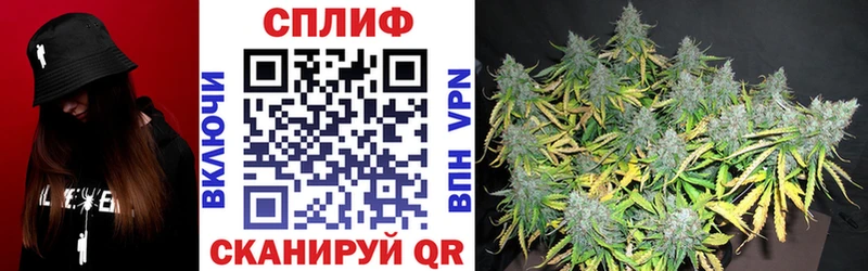 Купить  Няндома  Канабис семена 